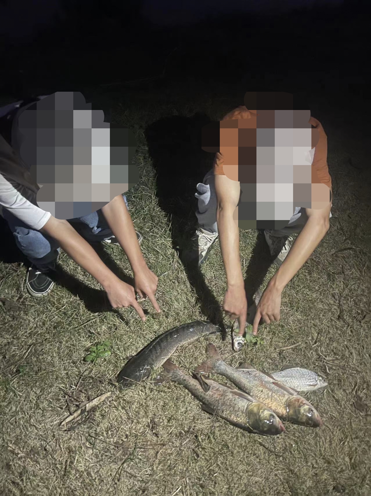 小黑鱼路亚(黑鱼路亚技巧) 小黑鱼路亚(黑鱼路亚技巧)