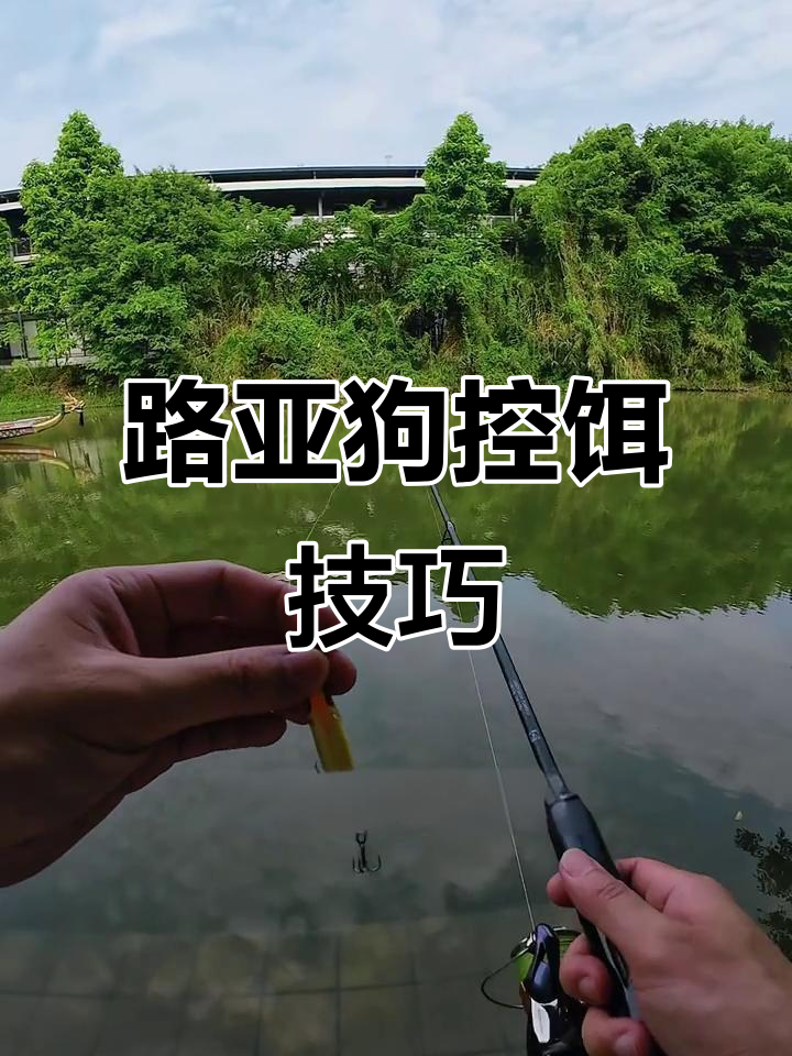 路亚饵操控技巧(路亚饵钓鱼教程视频)