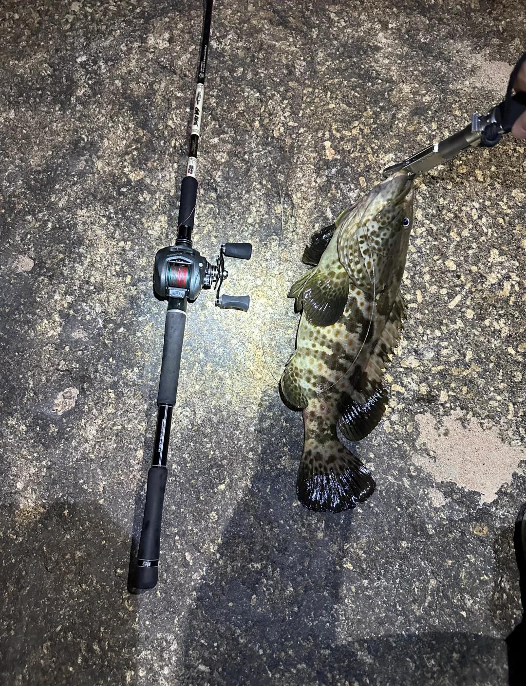 海钓路亚石斑饵(路亚怎么钓石斑鱼) 海钓路亚石斑饵(路亚怎么钓石斑鱼)