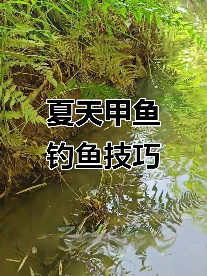 甲鱼的钓法技巧(甲鱼的钓法技巧大全) 甲鱼的钓法技巧(甲鱼的钓法技巧大全)