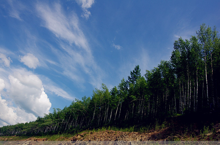 路亚林场(路亚钓场怎么收费)