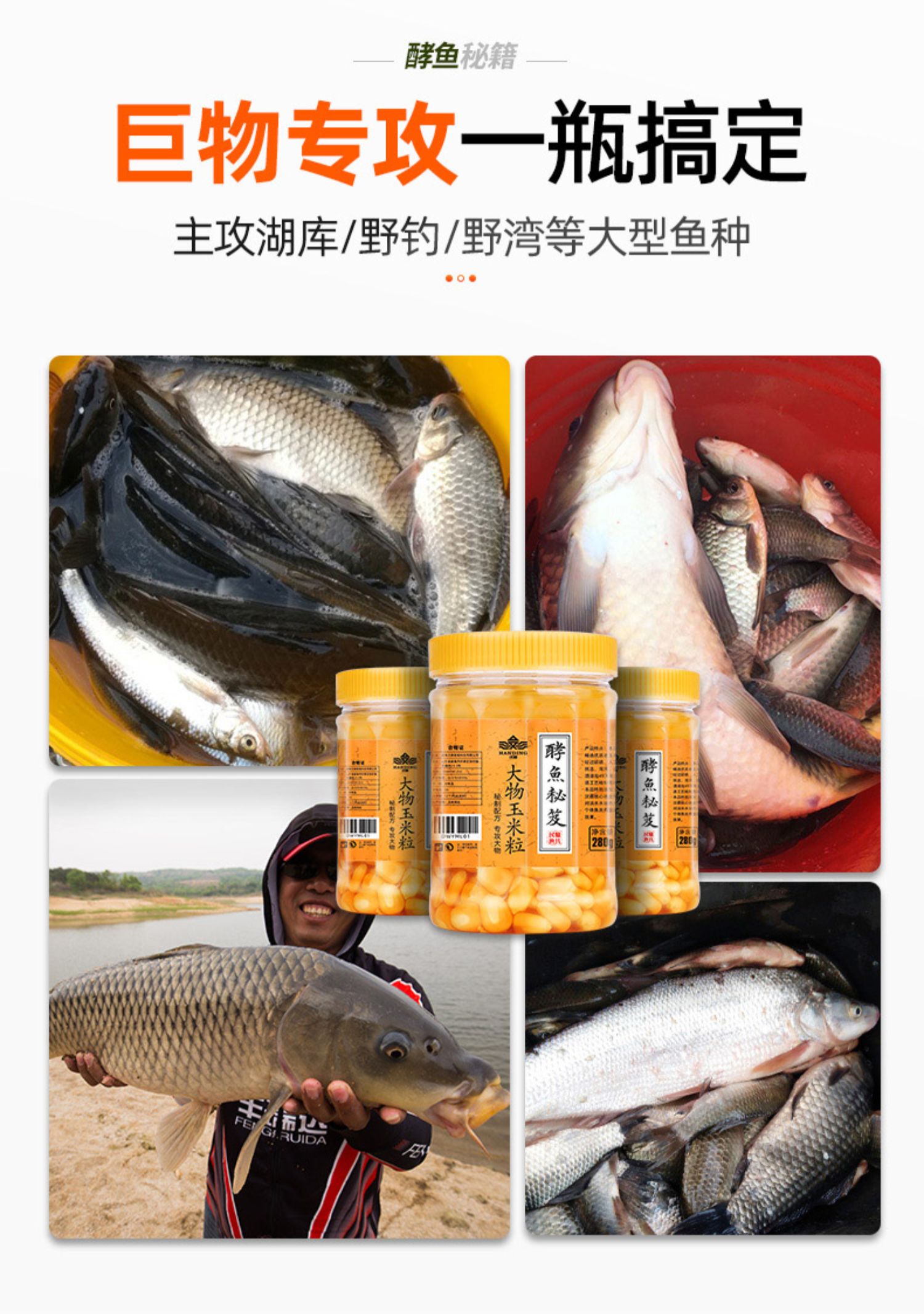 鱼食饵料玉米(鱼饵玉米粒的用法)