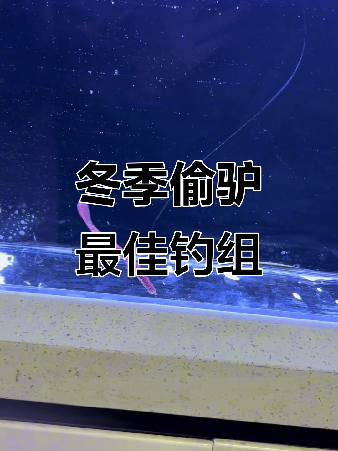 黑坑逗钓技巧(黑坑逗钓真的有用吗) 黑坑逗钓技巧(黑坑逗钓真的有用吗)