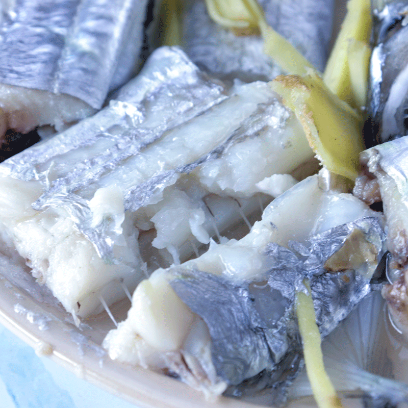 外海钓带鱼(海钓的带鱼有什么不一样)