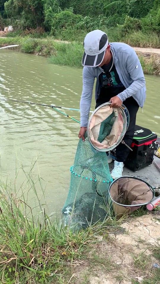 池塘钓鲳鱼技巧(池塘钓鲳鱼技巧视频)