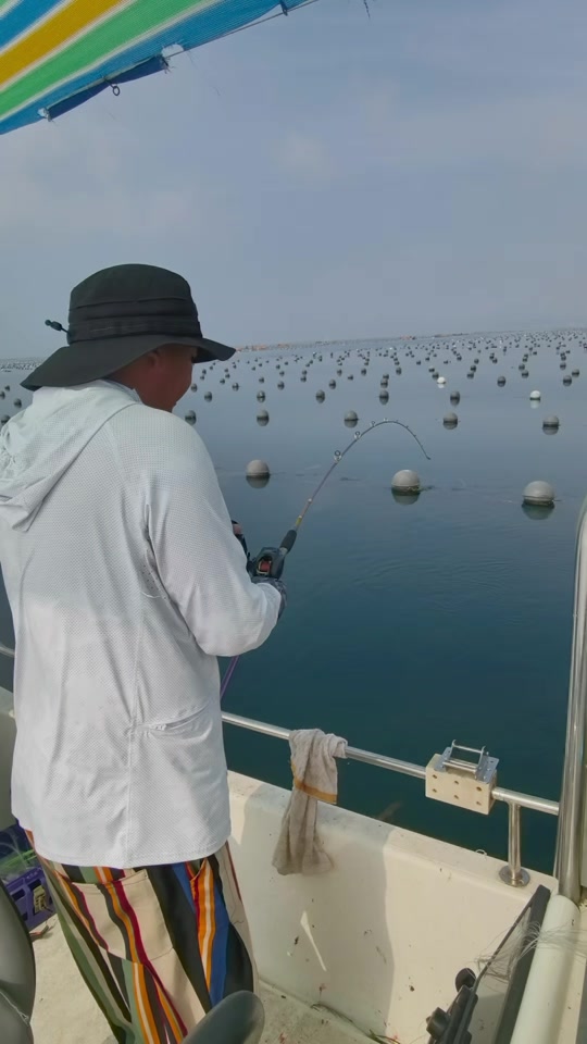 天津哪里适合海钓(天津哪里适合海钓的地方)