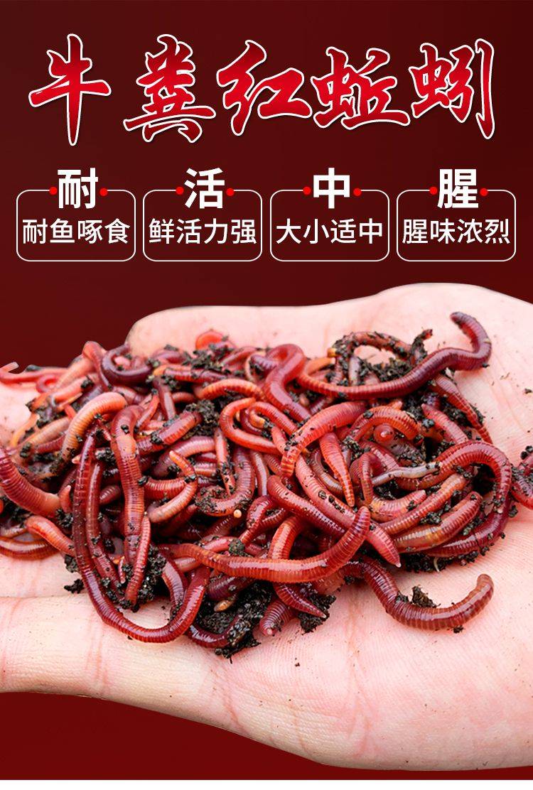 神奇饵料配方(神奇饵料配方表) 神奇饵料配方(神奇饵料配方表)