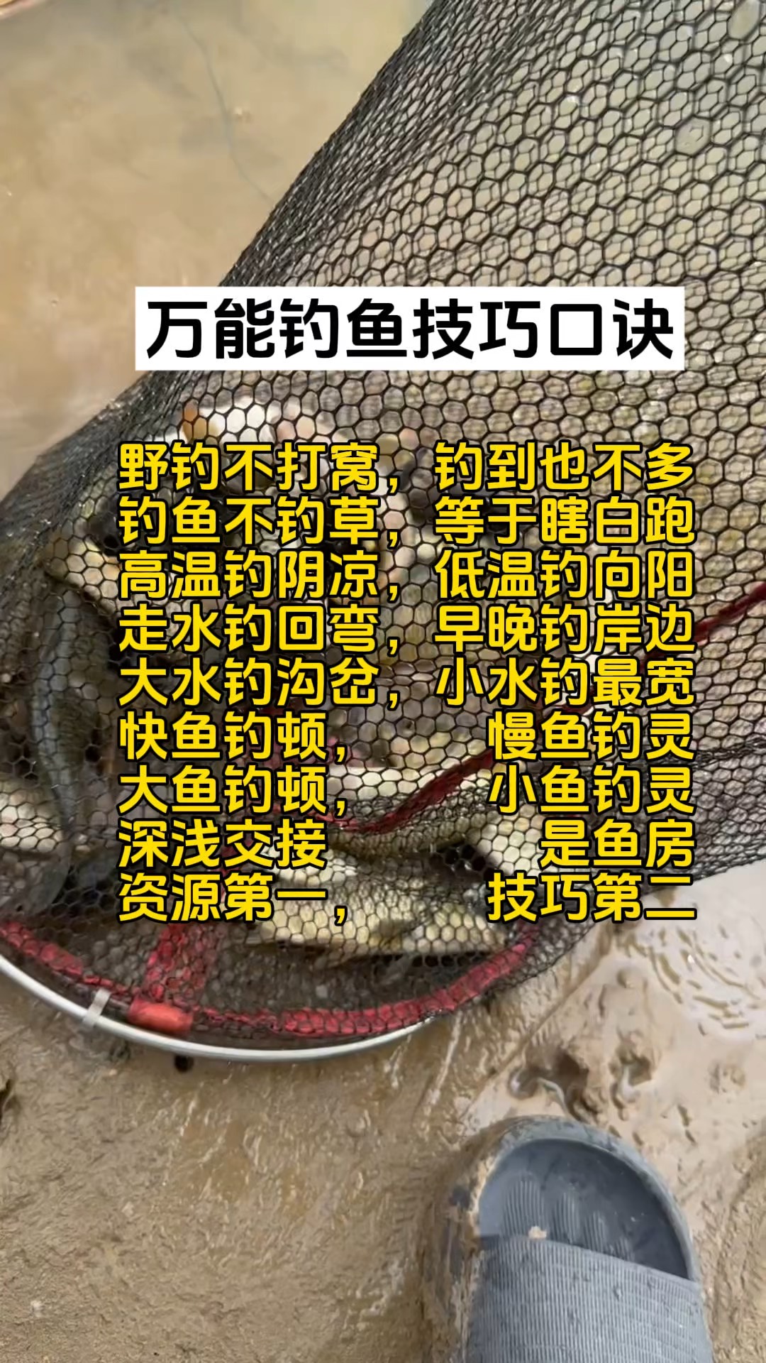 早晨阴天钓鱼技巧(阴天钓鱼钓远还是钓近) 早晨阴天钓鱼技巧(阴天钓鱼钓远还是钓近)