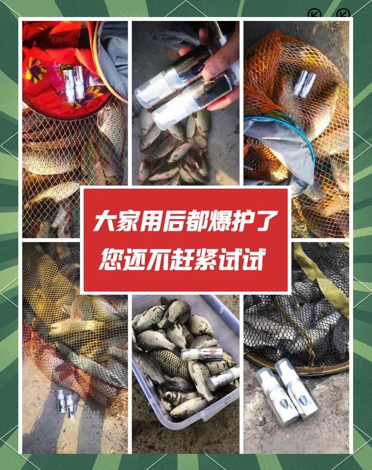 钓鱼饵料蔬菜(钓鱼饵料蔬菜搭配)