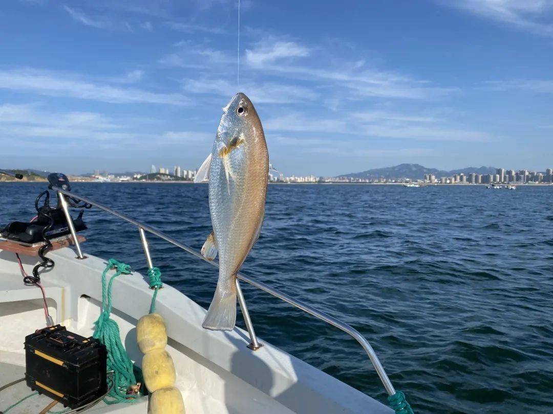 南油海钓水深(南海海钓主要的鱼种) 南油海钓水深(南海海钓主要的鱼种)