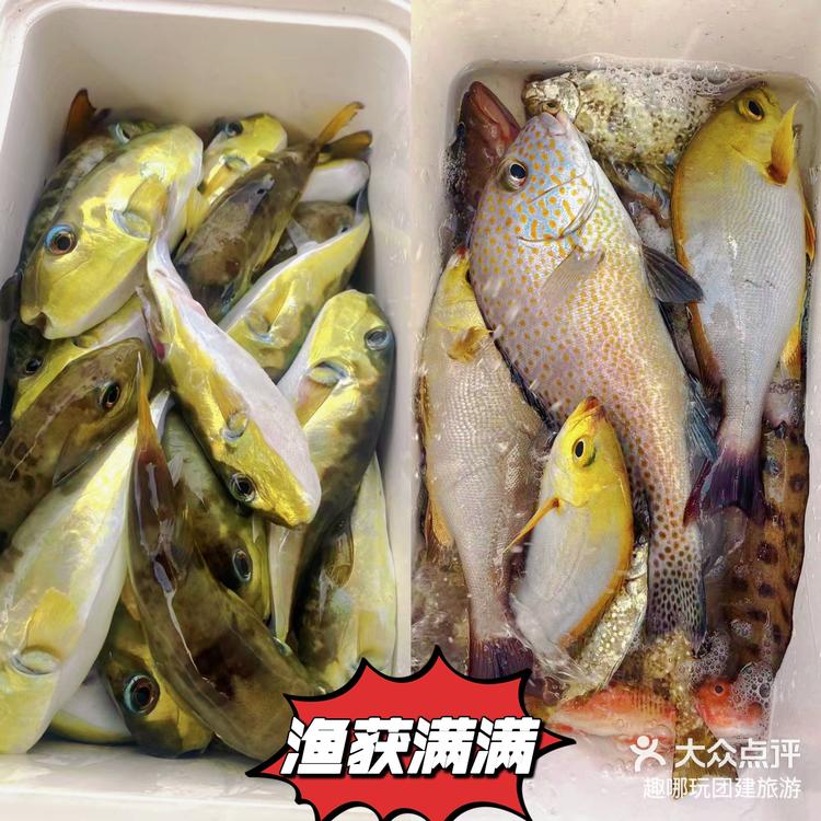 深圳海钓许可证(海上钓鱼证在什么部门办理) 深圳海钓许可证(海上钓鱼证在什么部门办理)