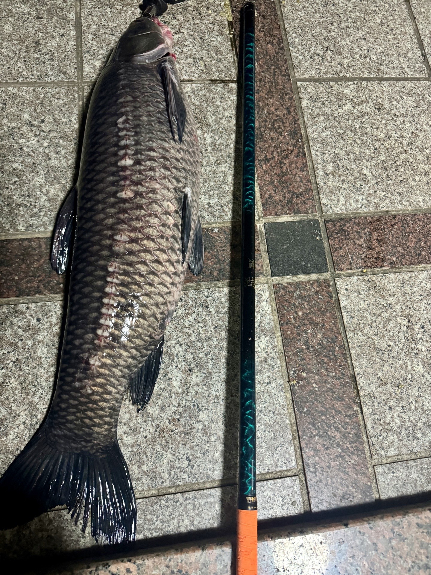 汉鼎品牌渔具店静海(汉鼎品牌渔具店静海店地址)