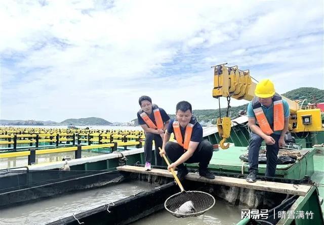 东海油田海钓装备(东海油井海钓要用什么装备)