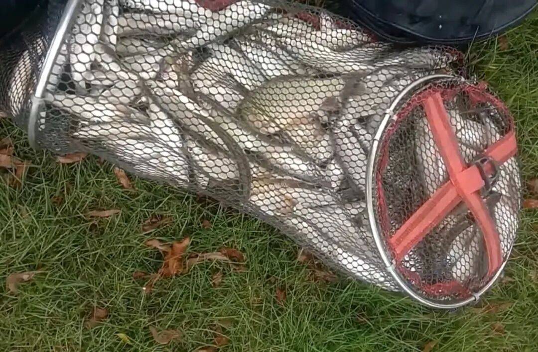 冬天钓翘白鱼技巧(冬季白天钓翘嘴鱼的最佳水深) 冬天钓翘白鱼技巧(冬季白天钓翘嘴鱼的最佳水深)