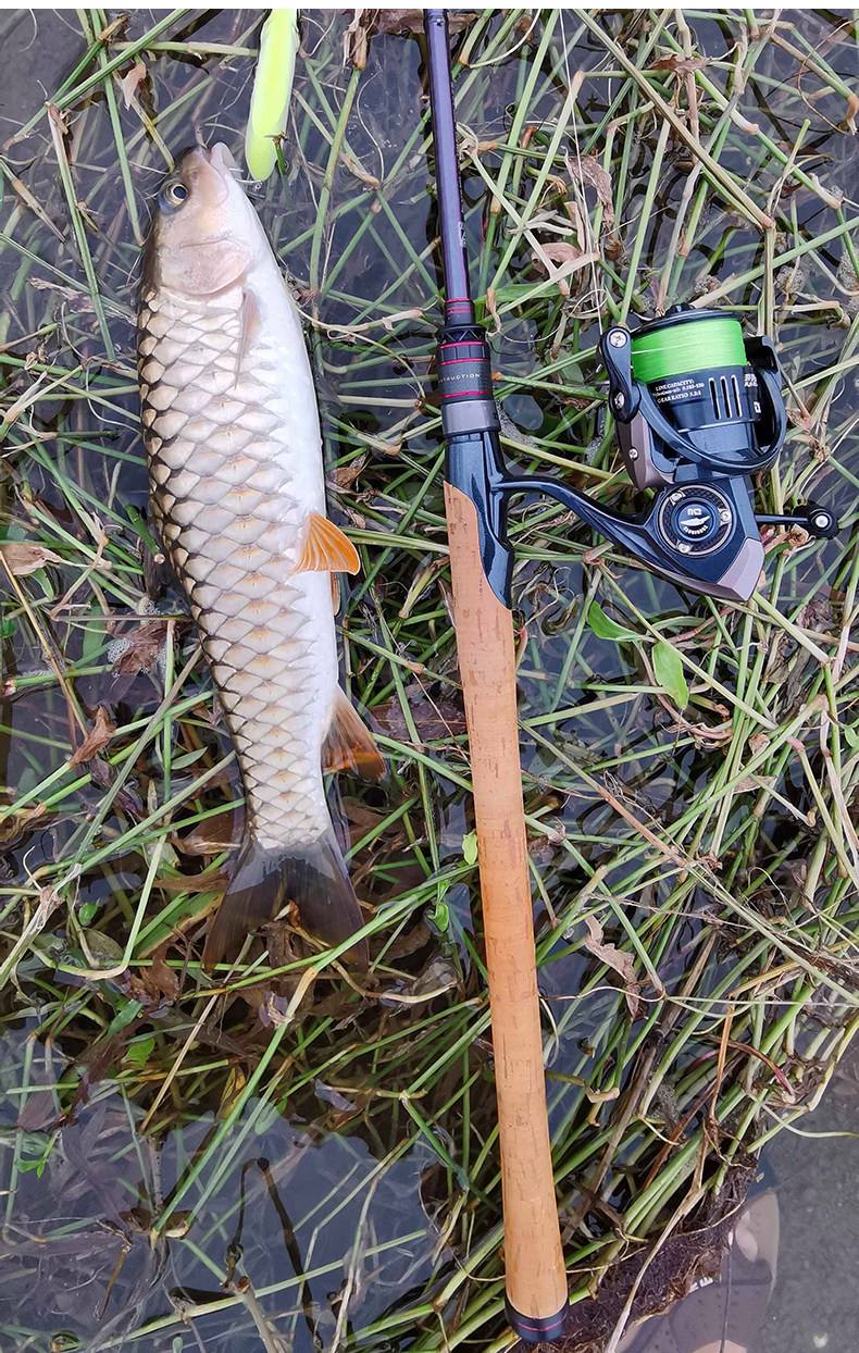 绵远河路亚(绵阳附近路亚钓点)