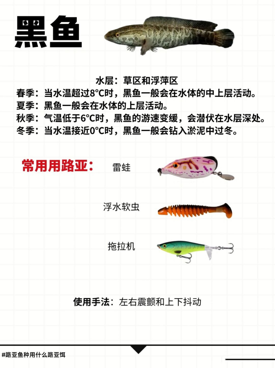 路亚饵分类及介绍(路亚饵有哪些类型分别怎么使用)