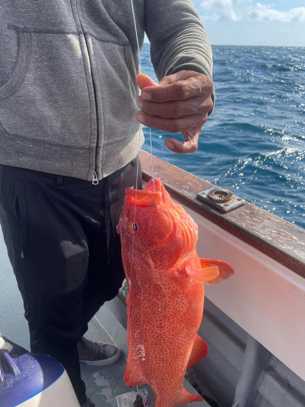 菲律宾海钓团(菲律宾渔具怎么样)