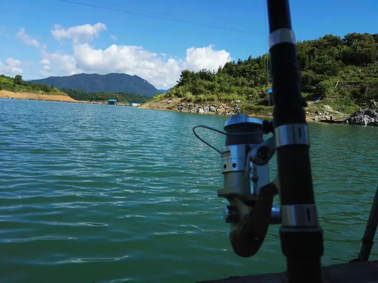 郴州买渔具的地方在哪(郴州哪里有卖小金鱼和小鱼缸) 郴州买渔具的地方在哪(郴州哪里有卖小金鱼和小鱼缸)