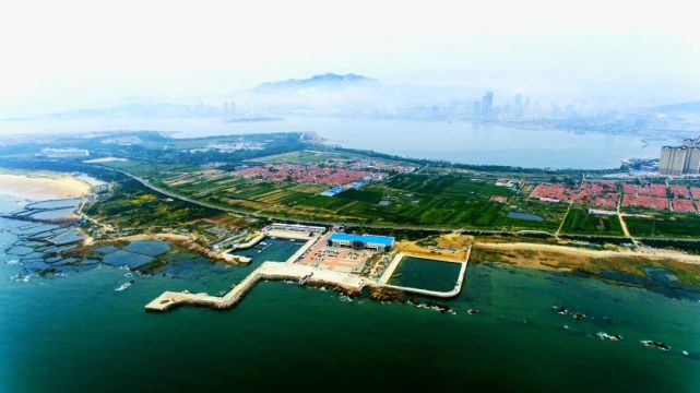 青岛湖海饵料价格(2020青岛湖最近让钓鱼吗)