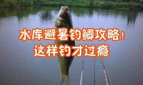 夏天在水库钓鲫鱼的技巧(夏天在水库钓鲫鱼的技巧是什么)