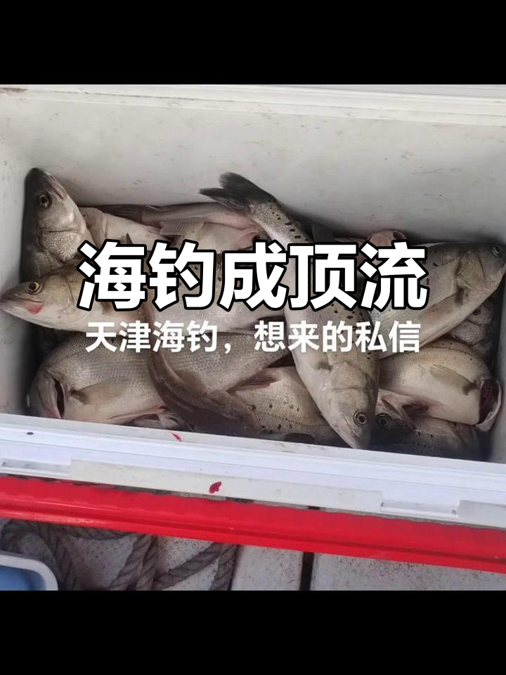 冬季天津海钓(天津冬天能海钓吗)