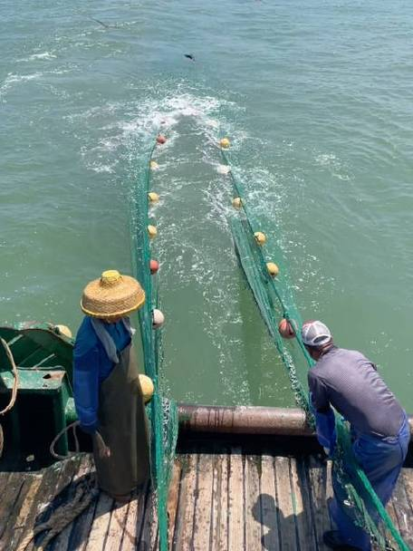 石塘海钓(石塘出海捕鱼游玩攻略)