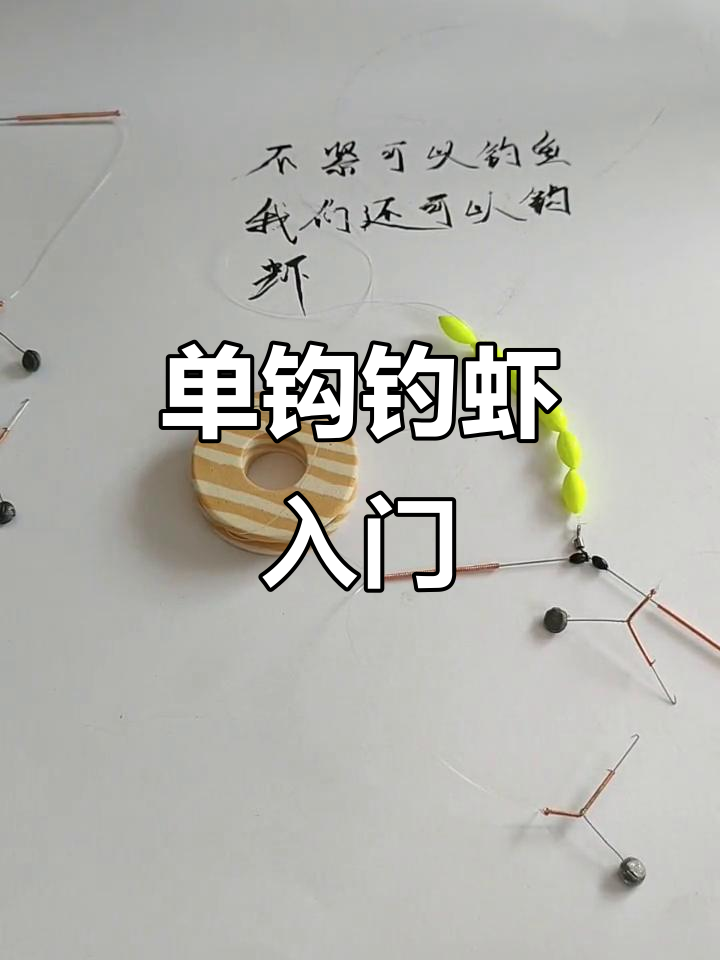 怎样用熟虾海钓(用海虾钓鱼上鱼快吗)