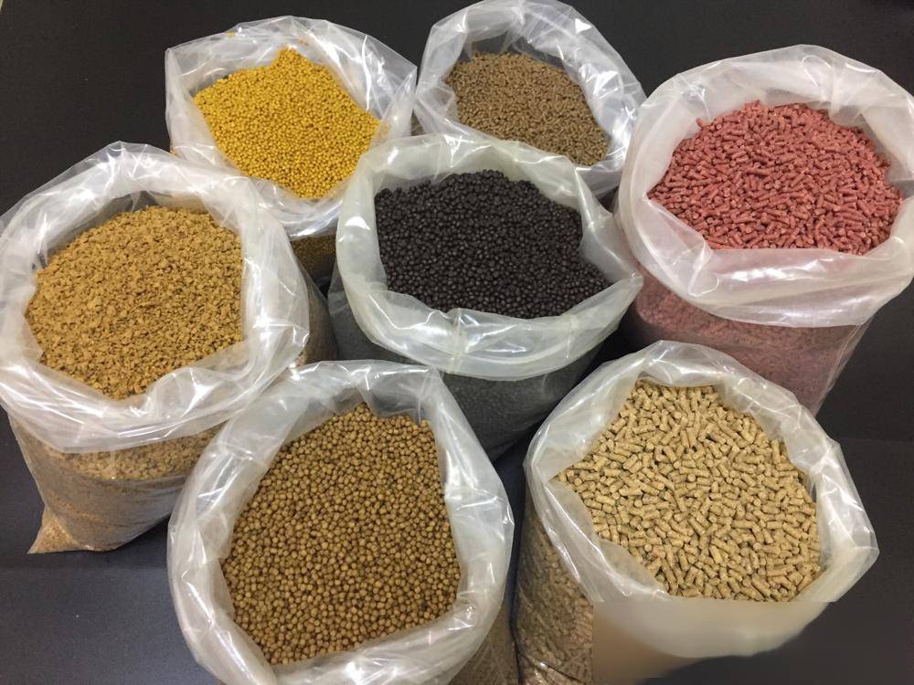 基础饵料是什么意思(钓鱼基础饵是什么意思)