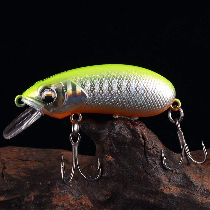 哪种饵料返水(饵料反水影响钓鱼吗) 哪种饵料返水(饵料反水影响钓鱼吗)