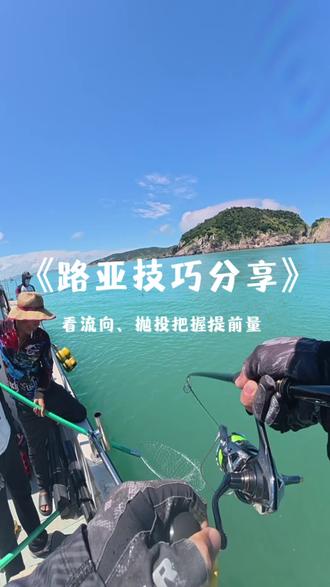 路亚海鲈技巧(路亚海鲈鱼技巧教学)