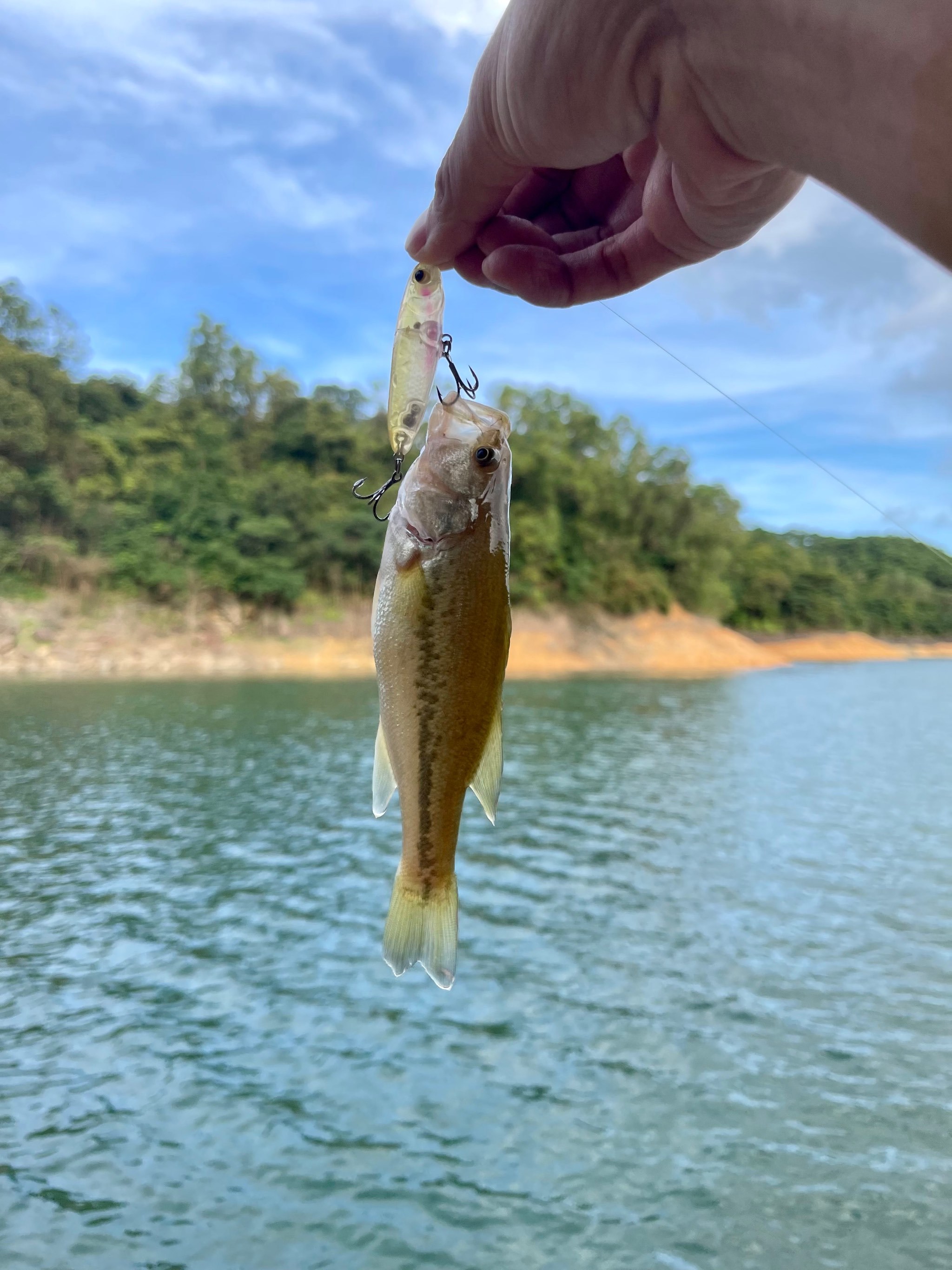 九月底路亚(9月路亚什么鱼)