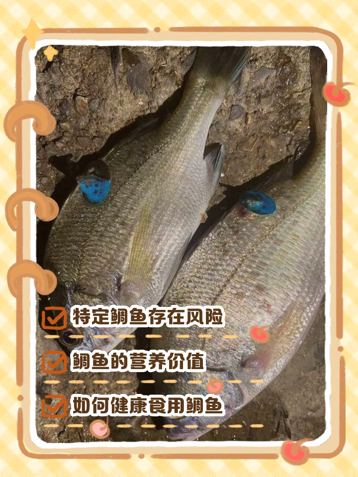 浮游钓鲷鱼的技巧(浮游钓鲷鱼的技巧视频) 浮游钓鲷鱼的技巧(浮游钓鲷鱼的技巧视频)