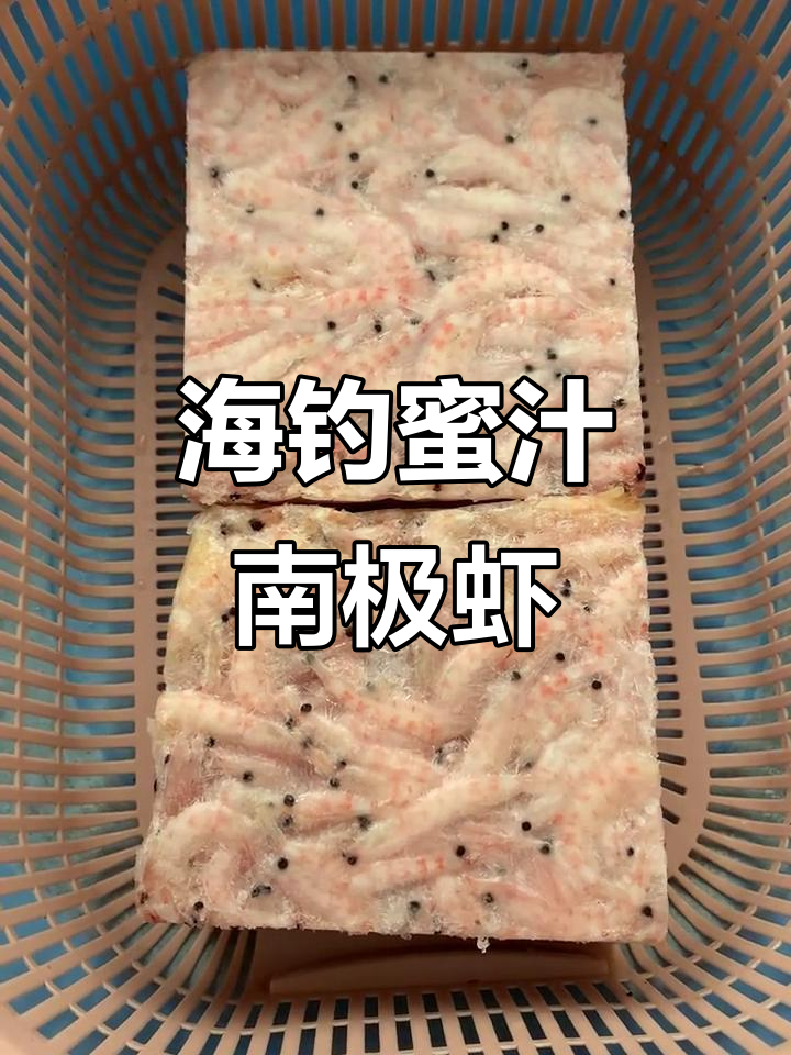 海钓南极虾打窝子(海钓南极虾怎么挂钩) 海钓南极虾打窝子(海钓南极虾怎么挂钩)