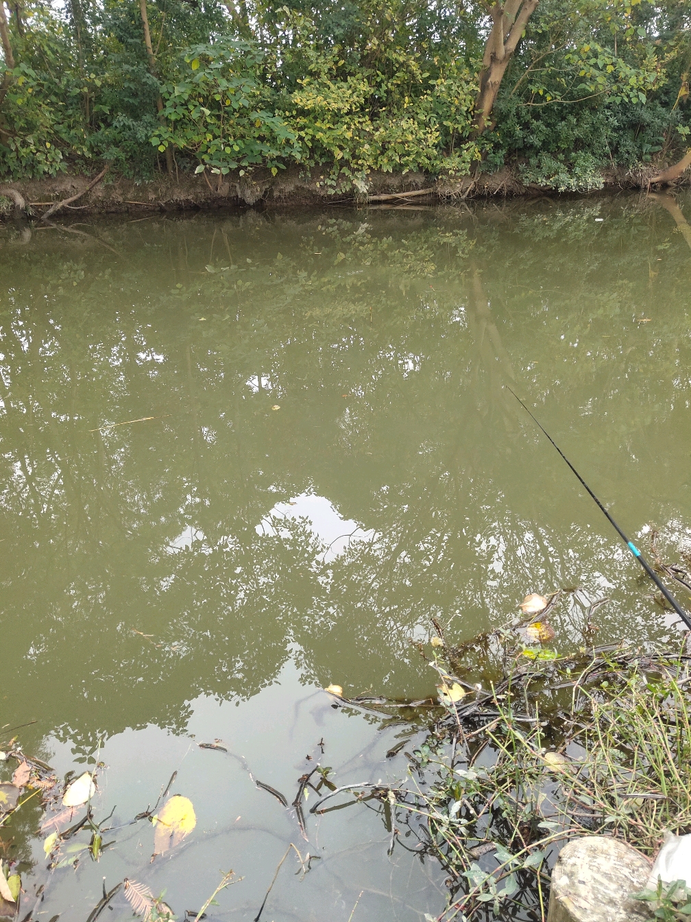 初秋阴天钓鱼技巧(秋初阴天野钓钓浅还是调深?) 初秋阴天钓鱼技巧(秋初阴天野钓钓浅还是调深?)