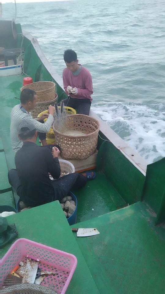 诏安湾鱼排海钓(诏安湾鱼排海钓点在哪里)