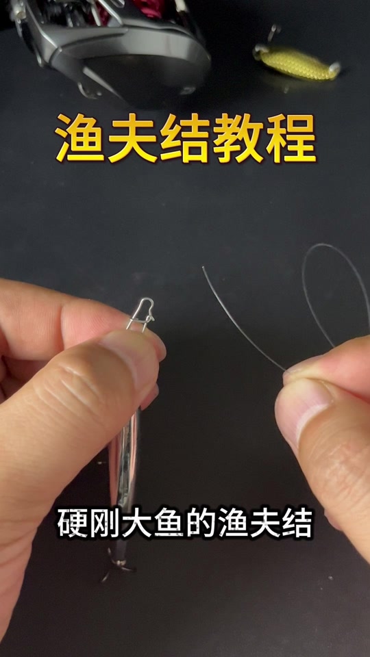 路亚铒绑(路亚 绑法)