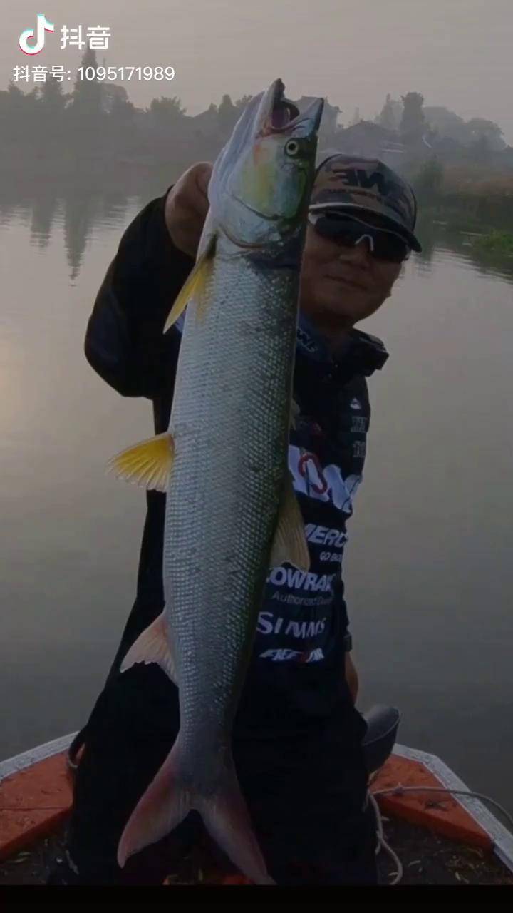 溱湖路亚(国产路亚十大品牌)