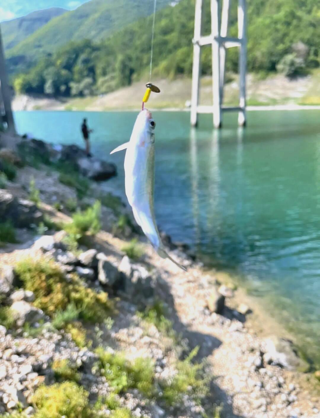 路亚点温州(温州路亚标点) 路亚点温州(温州路亚标点)