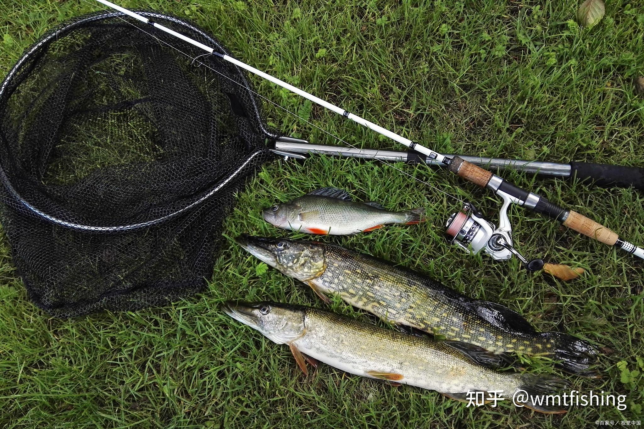 威海绿渔渔具在哪(威海绿洋环保科技有限公司)