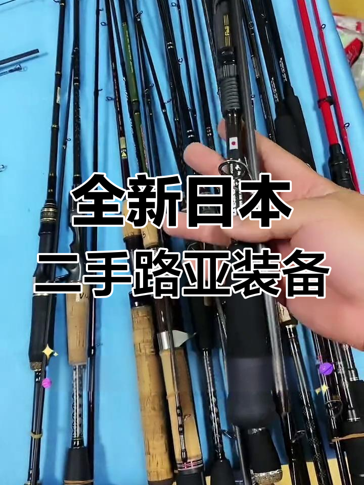 钓具大全---路亚(professional fishing路亚钓法)