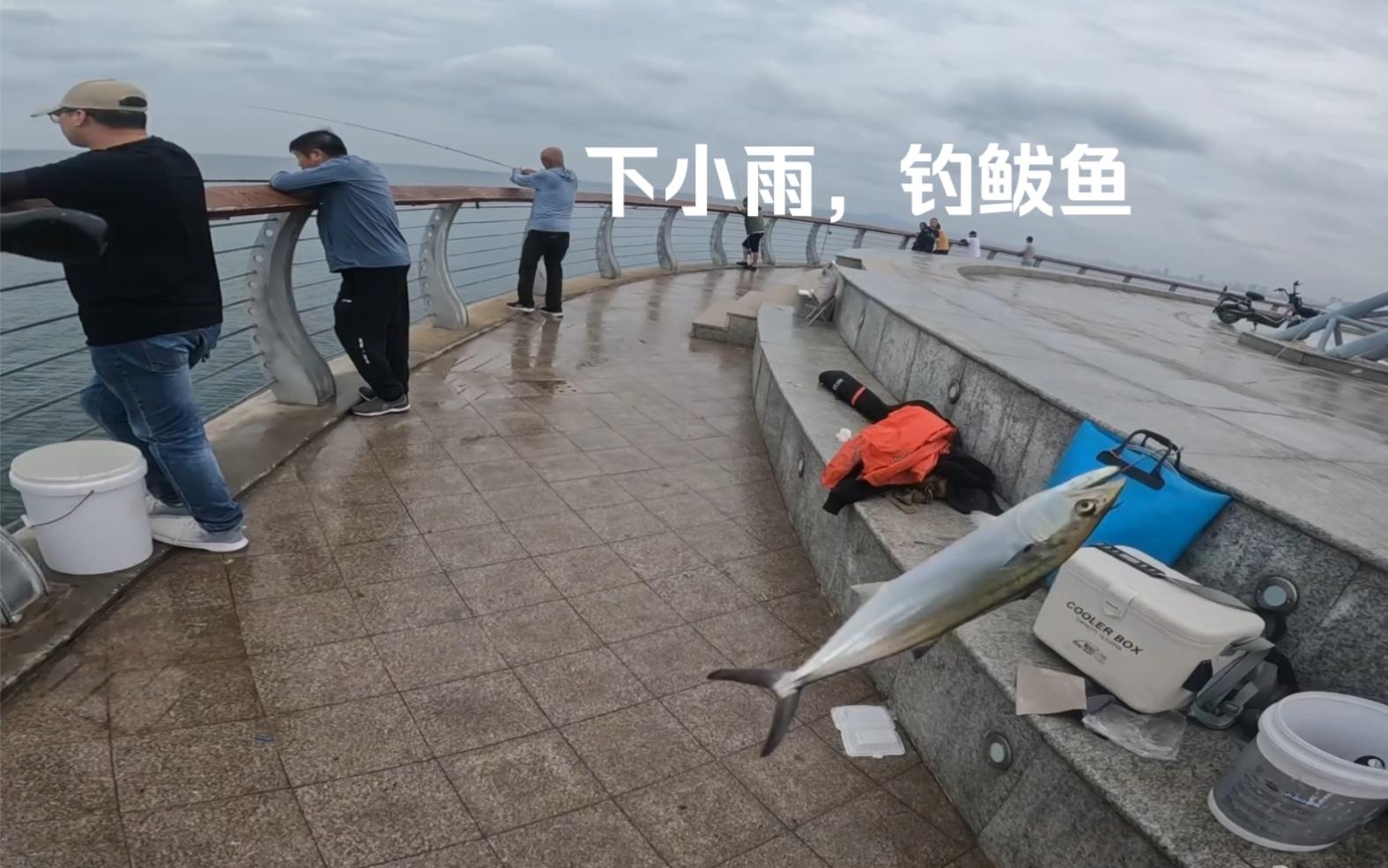 秋季小雨野钓技巧(秋季小雨野钓技巧和方法)