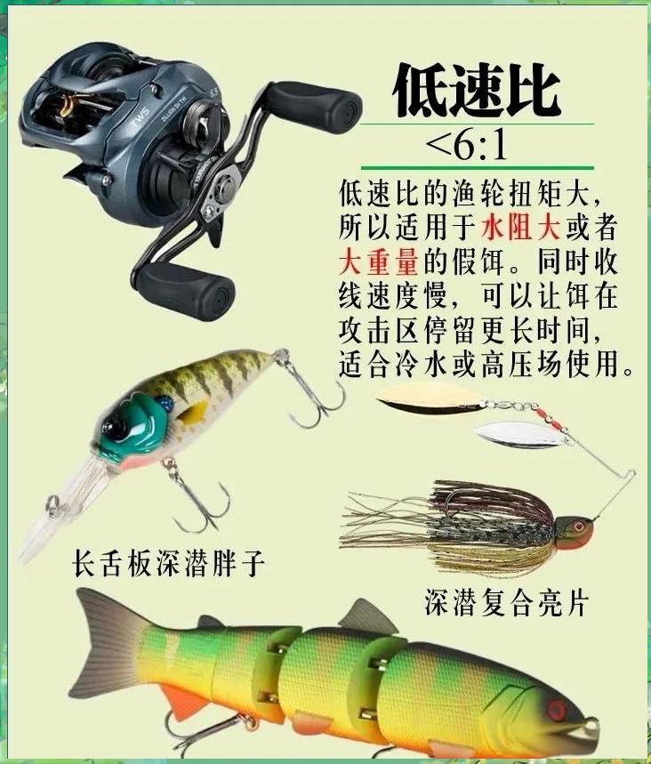 路亚收线速度(路亚钓收线速度) 路亚收线速度(路亚钓收线速度)