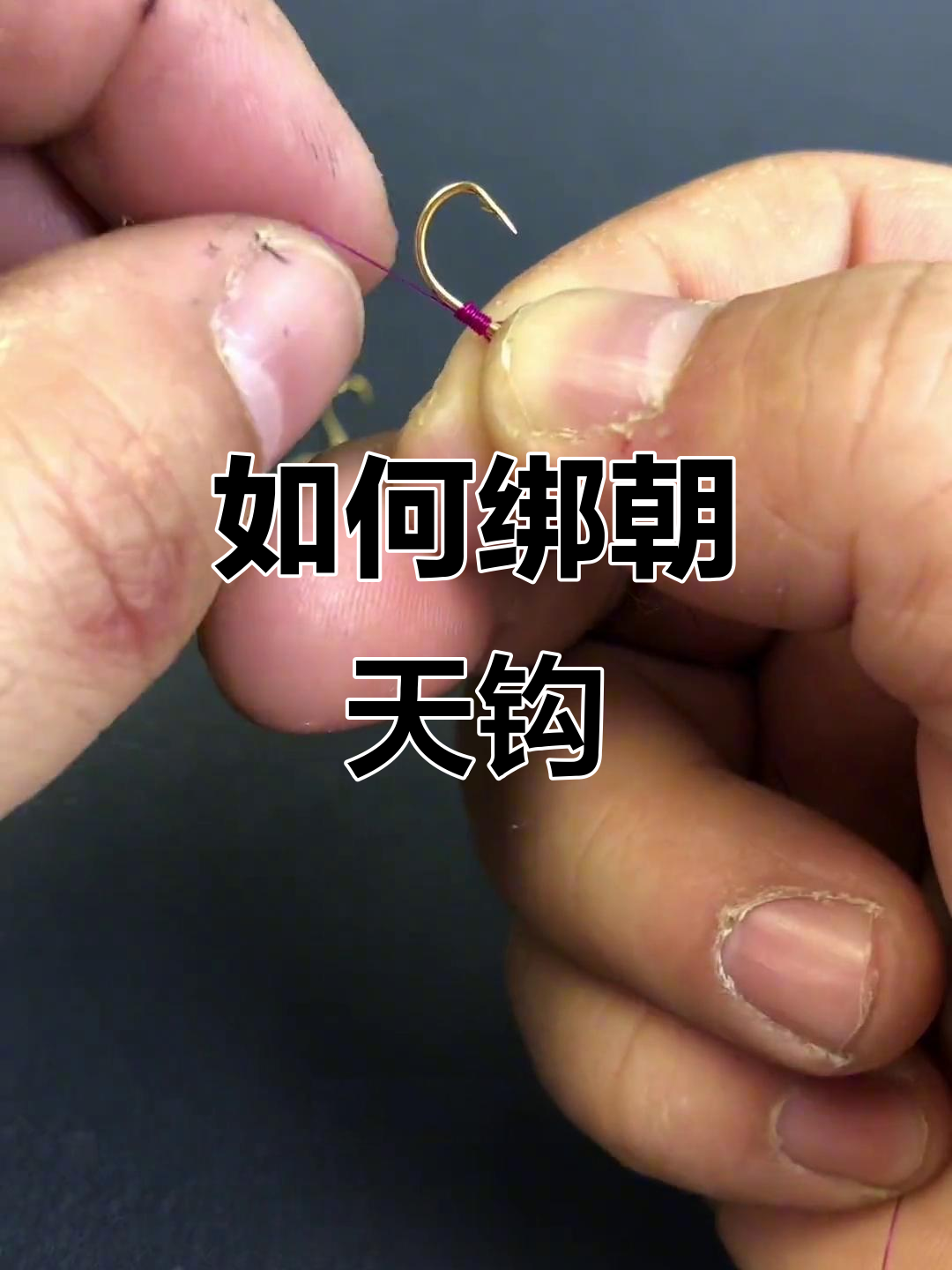 朝天钩挂蚯蚓技巧(朝天钩只能挂蚯蚓不能挂饵料吗) 朝天钩挂蚯蚓技巧(朝天钩只能挂蚯蚓不能挂饵料吗)