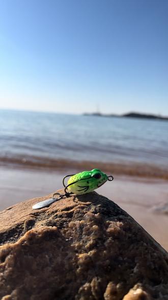 雷蛙路亚翘嘴视频(路亚翘嘴视频大全高清) 雷蛙路亚翘嘴视频(路亚翘嘴视频大全高清)