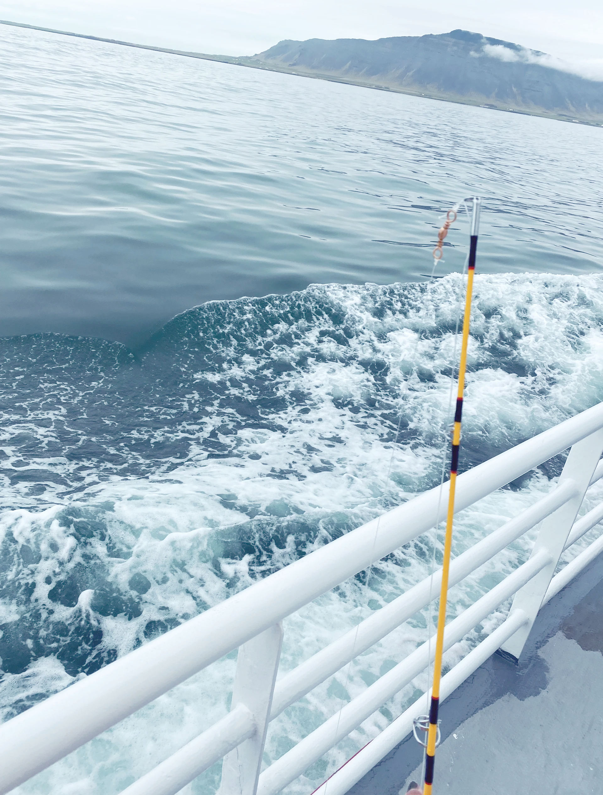 大门岛海钓(大门岛海钓点) 大门岛海钓(大门岛海钓点)
