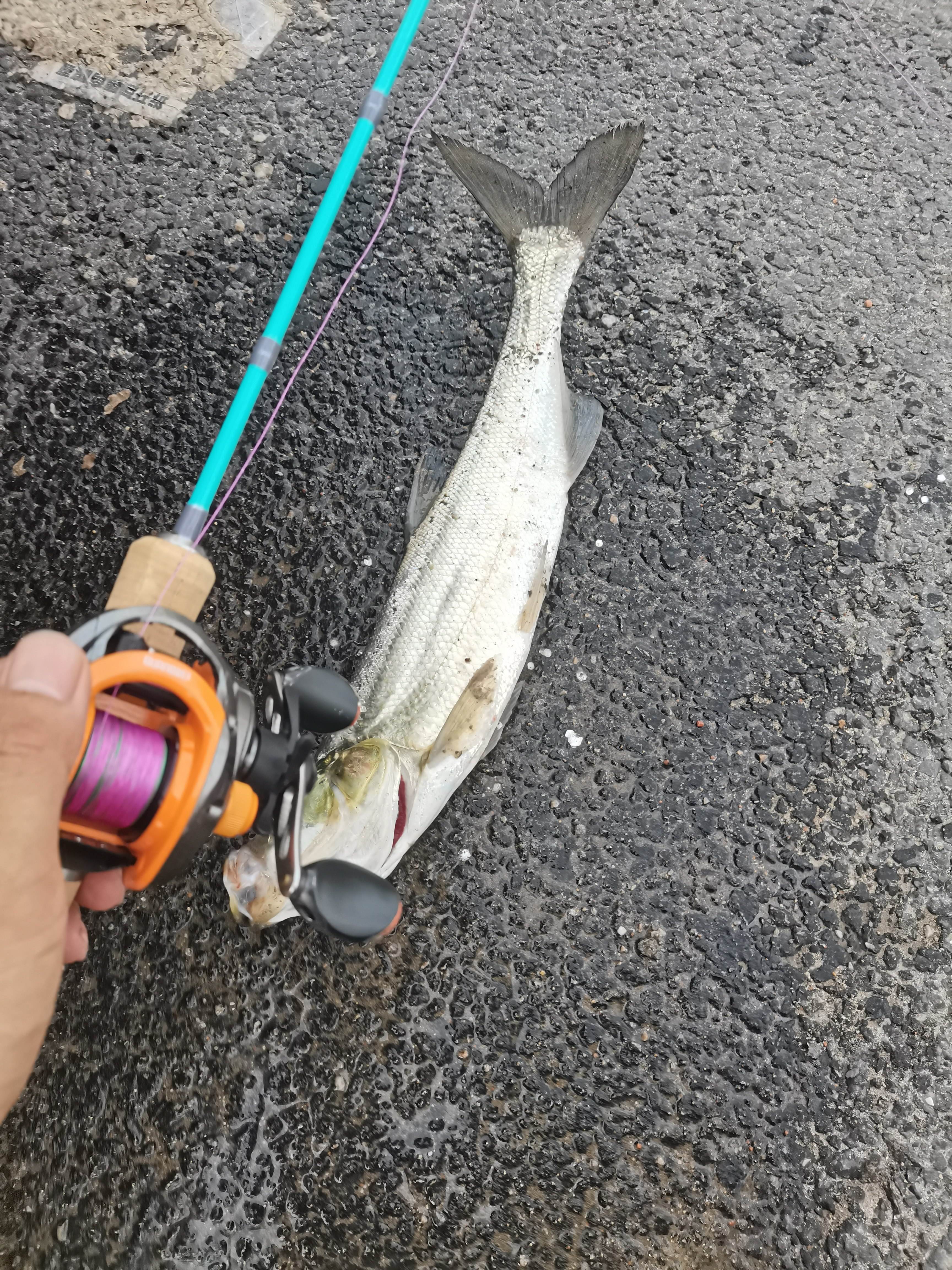 路亚饵铅头钩(路亚铅头钩的绑法图解钓组) 路亚饵铅头钩(路亚铅头钩的绑法图解钓组)