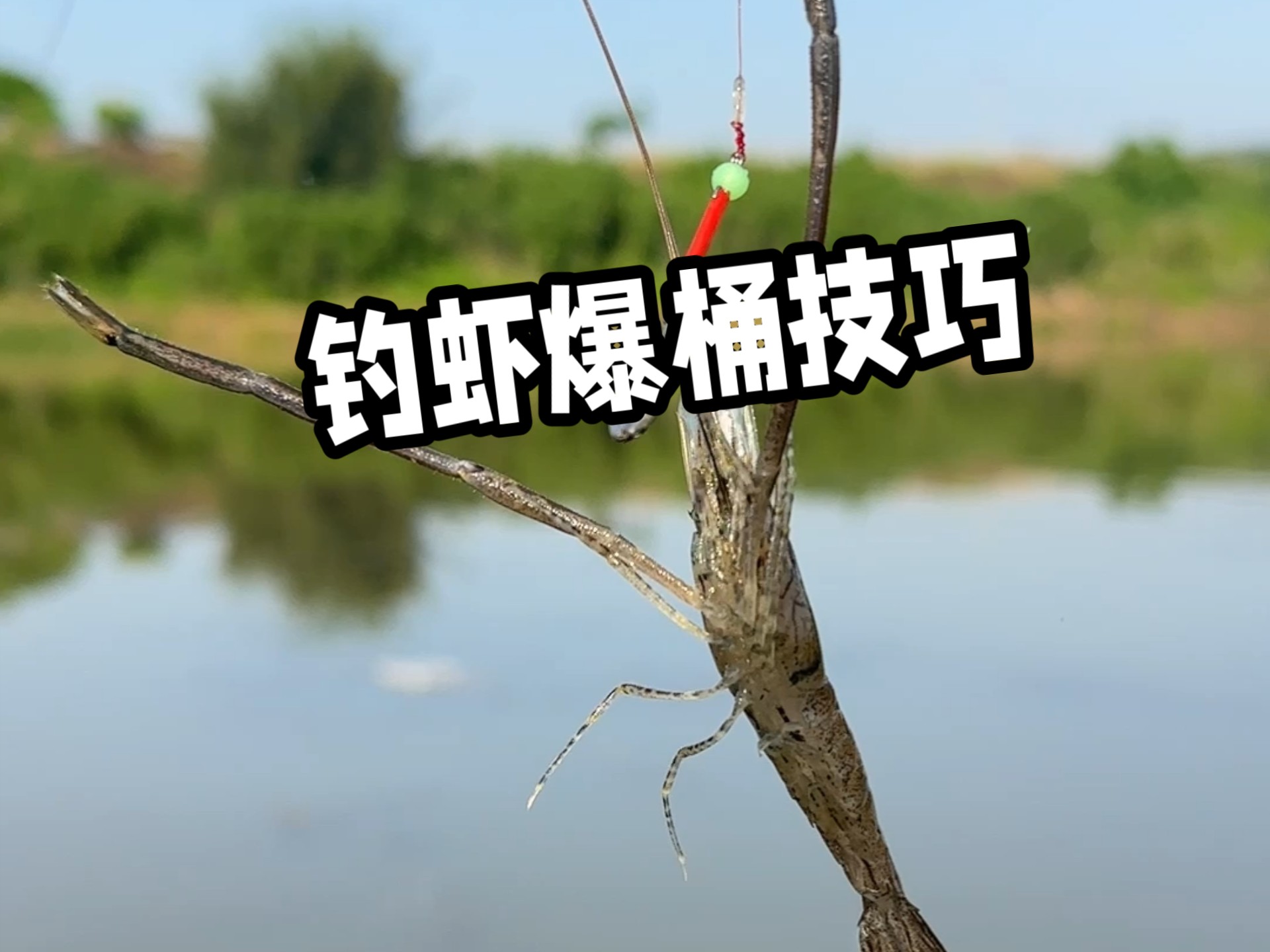 海边虾塘钓鱼技巧(海边虾塘钓鱼技巧图解)