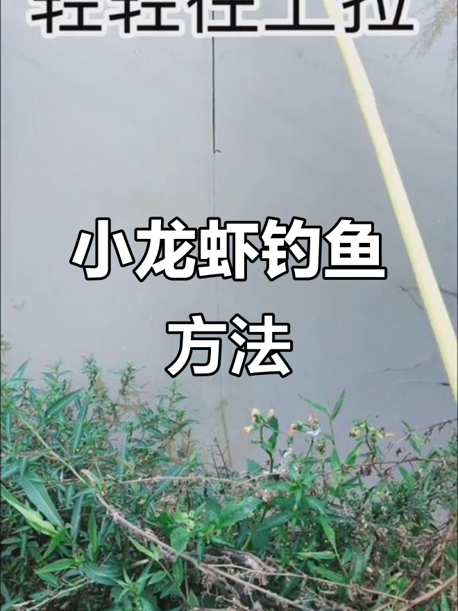 海边虾塘钓鱼技巧(海边虾塘钓鱼技巧图解)