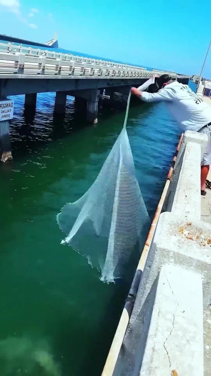 撒网捕白条技巧(怎样撒网捕鱼视频讲解)