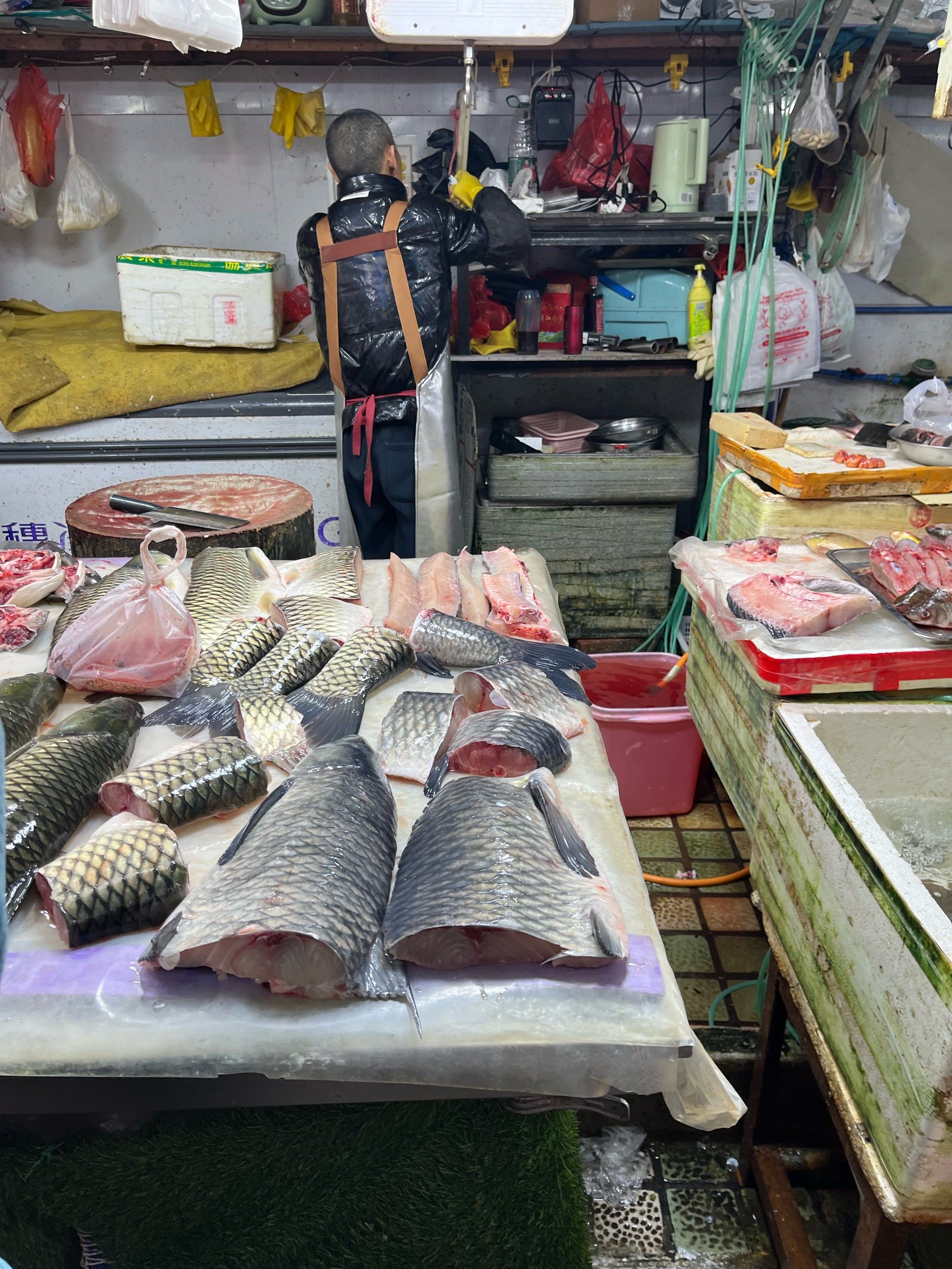 南油海钓卖鱼(南油海钓渔获怎么处理)